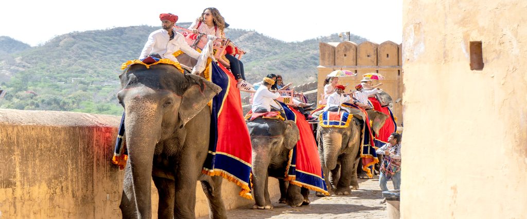 Jaipur,,India,-,Circa,2020,:,Elephants,,With,Tourists,Seated