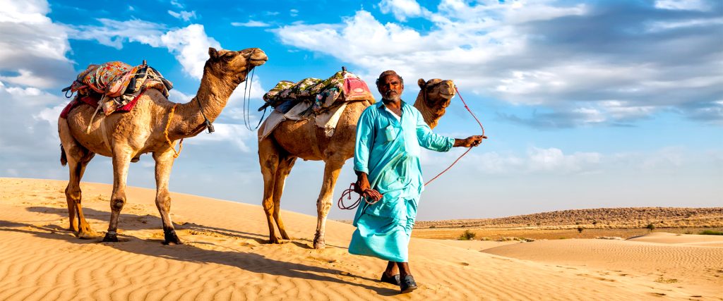 Rajasthan,Travel,Background,-,Indian,Cameleer,(camel,Driver),With,Camels